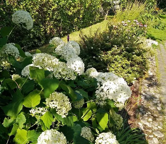 Vakantiehuis Lembitu *