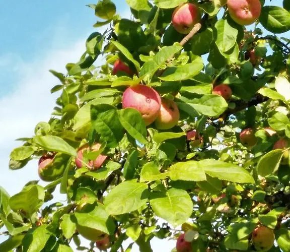 Lembitu Vakantiehuis *